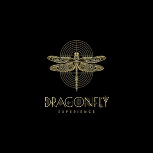 Dragonfly Experience